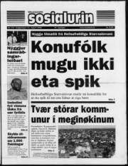 Síða 1
