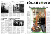 Síða 13