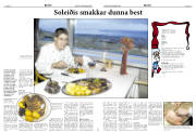 Síða 15