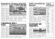 Síða 6