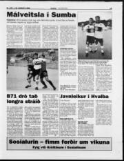 Síða 15
