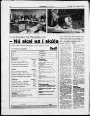 Síða 22