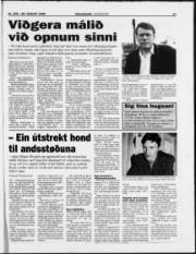 Síða 17