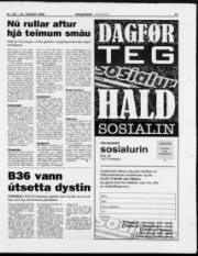 Síða 13
