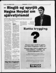 Síða 3