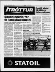 Síða 13