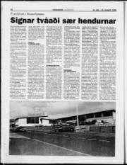 Síða 22