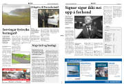 Síða 3
