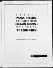 Síða 3