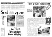 Síða 8