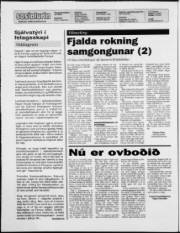 Síða 2