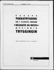 Síða 3