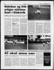 Síða 12