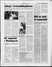 Síða 22