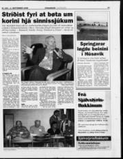 Síða 23