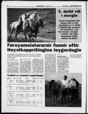 Síða 12