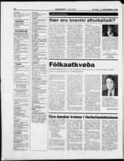 Síða 28