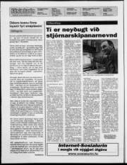 Síða 2