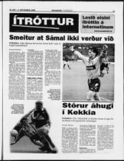 Síða 11