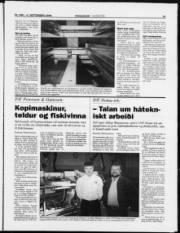 Síða 11