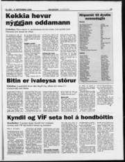 Síða 19