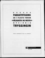 Síða 3