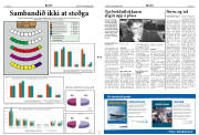 Síða 3