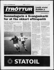 Síða 11