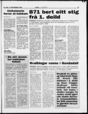 Síða 17