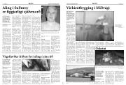 Síða 8