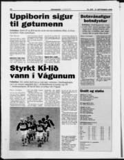 Síða 20