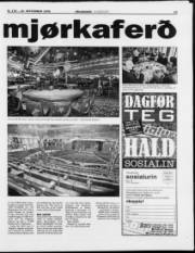 Síða 13