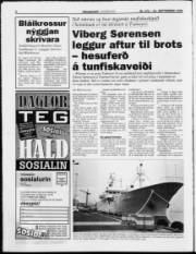 Síða 6