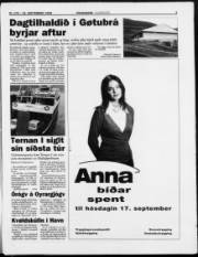 Síða 3