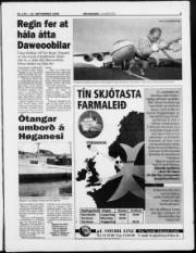 Síða 5