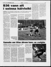 Síða 17