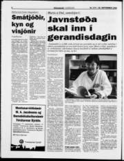 Síða 6