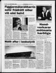 Síða 7