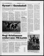 Síða 23