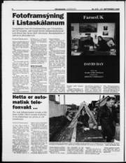 Síða 8
