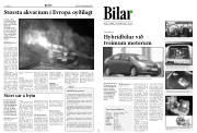 Síða 8