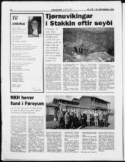 Síða 24