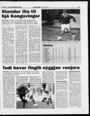 Síða 21