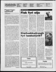 Síða 2