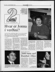 Síða 13
