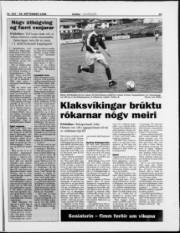 Síða 19