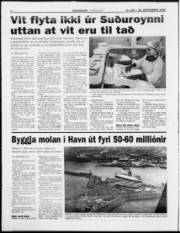 Síða 4
