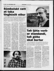 Síða 7