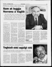 Síða 11