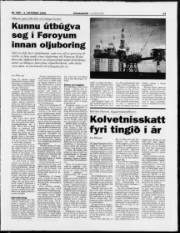 Síða 13
